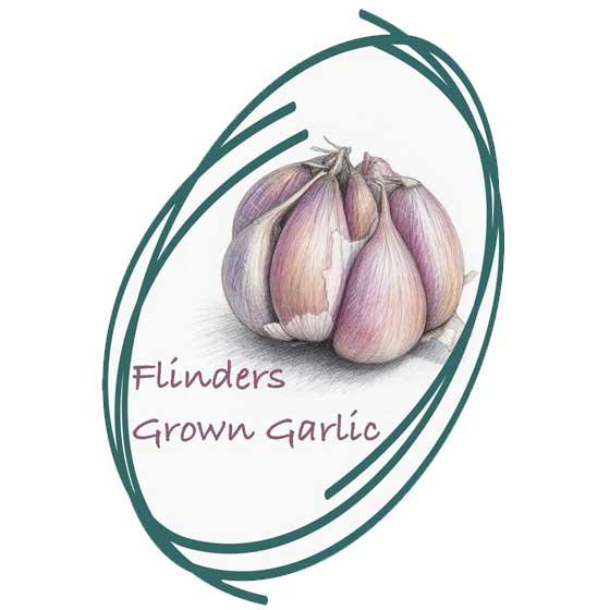 flinders island organic garlic grown tasmania