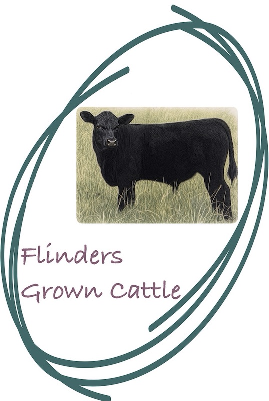 flinders, grown, cattle, island, steers, weaners, organic